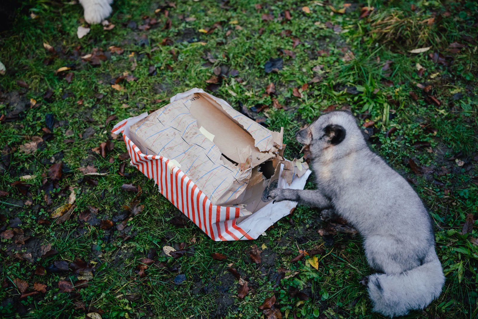 Copyright: Tierpark Hellabrunn / Foto: Jan Saurer          