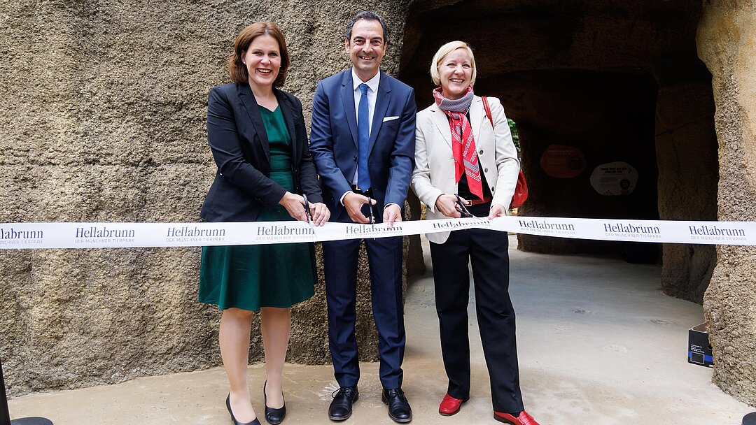 Opening lion enclosure Hellabrunn