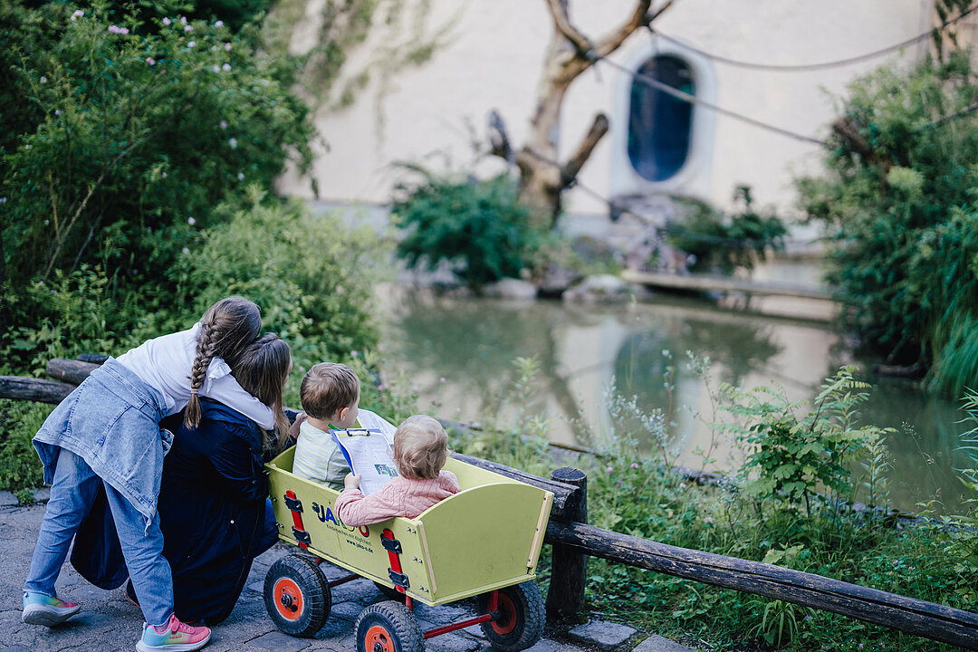 Bollerwagen und Kinder vor Kattagehege