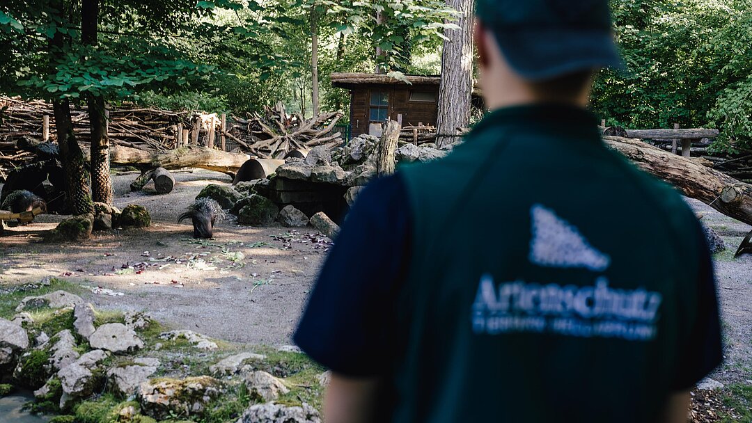 [Translate to English:] Forschung im Tierpark Hellabrunn