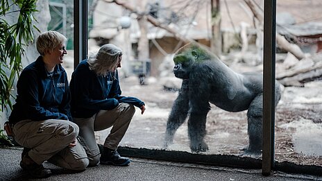 Hellabrunner Tierärzte Dr. Gohl und Dr. Lücht im Urwaldhaus