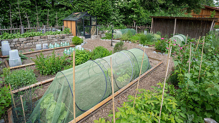 Bauerngarten im Mühlendorf