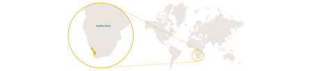 Distribution of tortoise